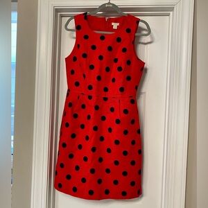 J. Crew Dress